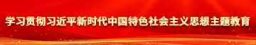 操老逼无码逼电影学习贯彻习近平新时代中国特色社会主义思想主题教育